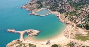 公开招标采购流程