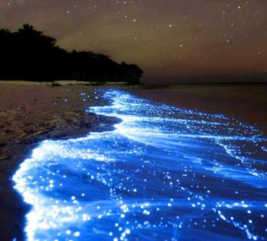 《国家发展改革委关于依法依规加强PPP项目投资和建设管理的通知》（发改投资规〔2019〕1098号）